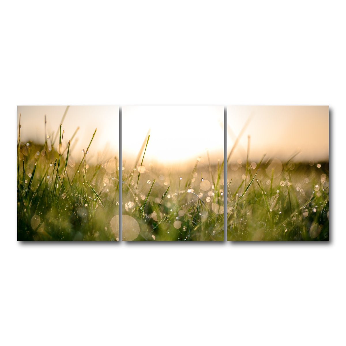 AUTO-MOCKUP WHITE | Damp Morning | 3 Piece | Gallery Wrap Canvas | group=18x24