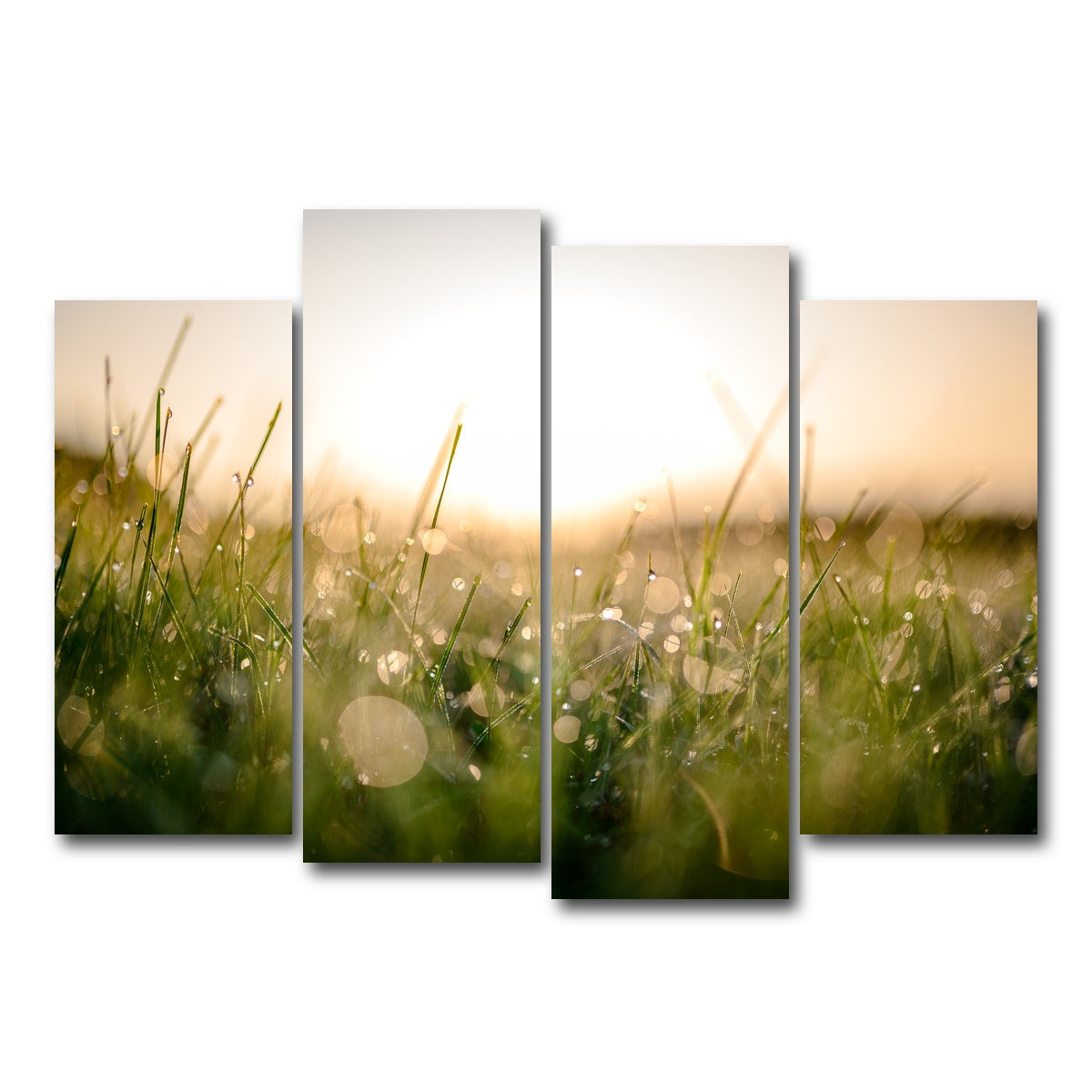 AUTO-MOCKUP WHITE | Damp Morning | 4 Piece | Gallery Wrap Canvas | group=4_normal