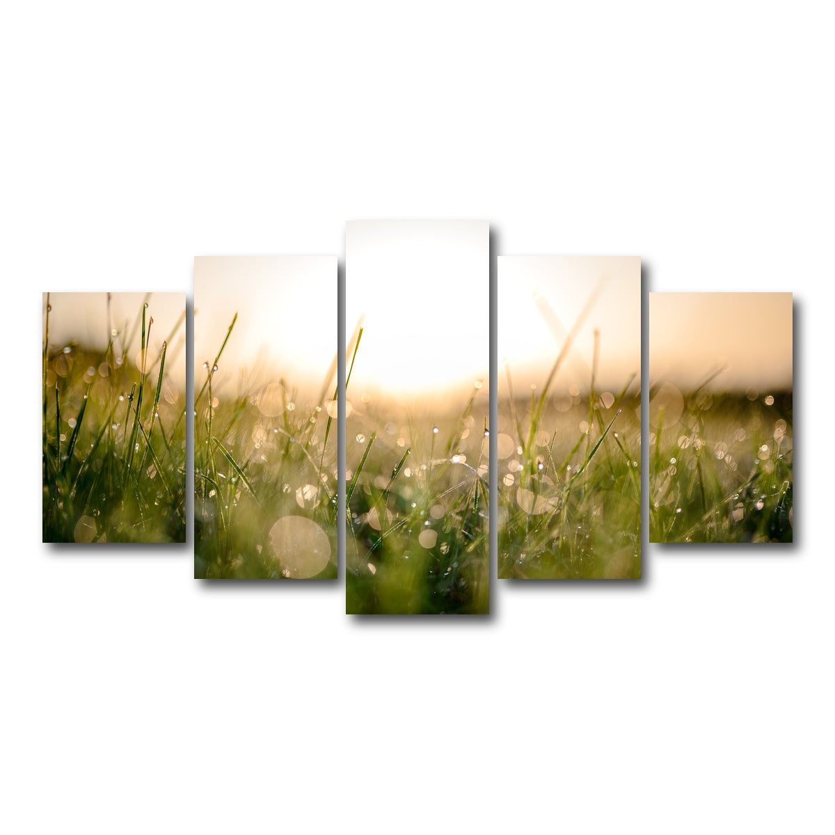 AUTO-MOCKUP WHITE | Damp Morning | 5 Piece | Gallery Wrap Canvas | group=5_normal