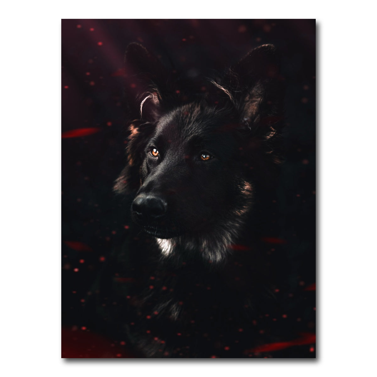 AUTO-MOCKUP WHITE | Dark Dog | 1 Piece | Gallery Wrap Canvas | group=3x4