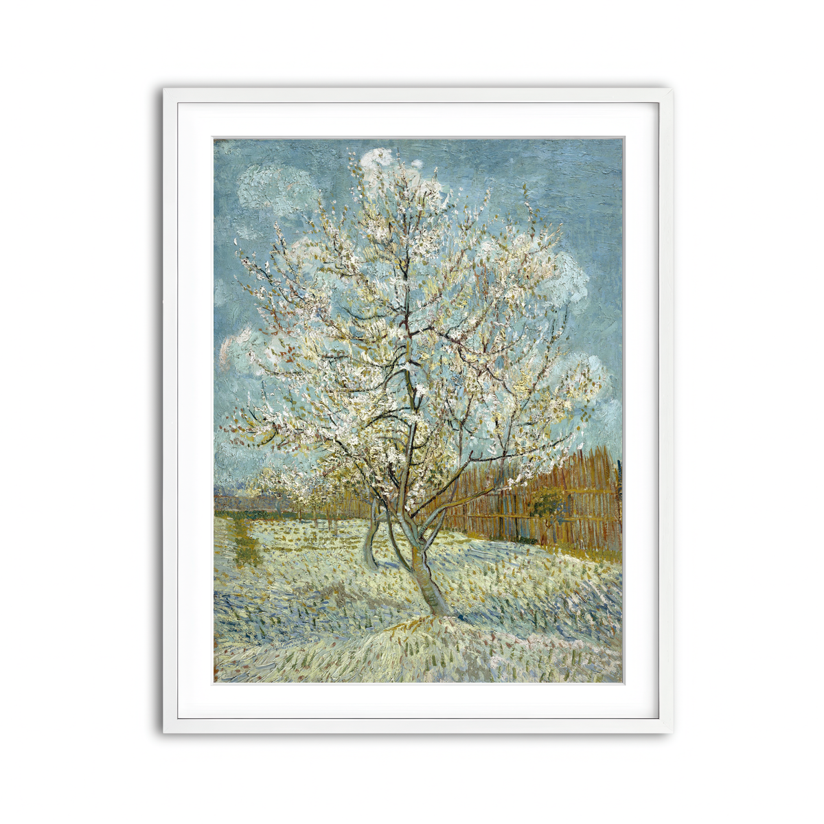 Framed Print 3x4 White