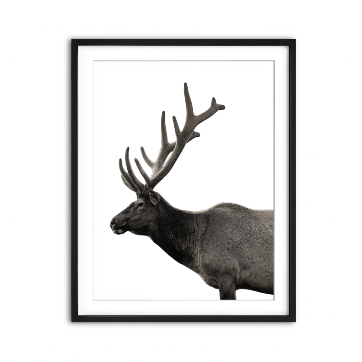 Framed Print 3x4 Black