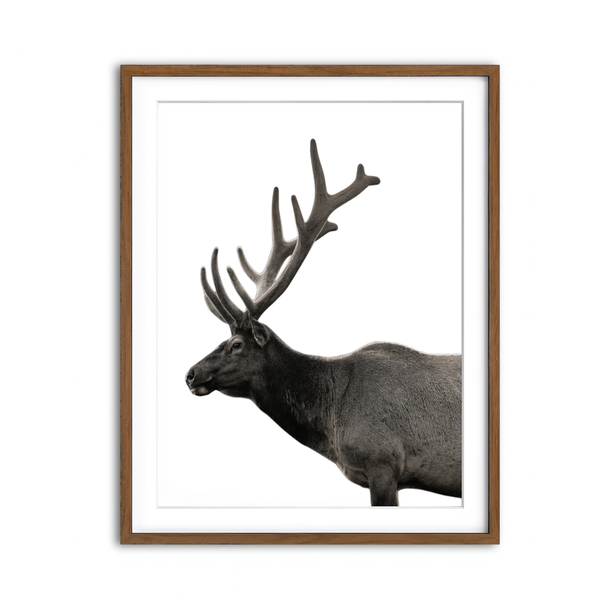 Framed Print 3x4 Walnut