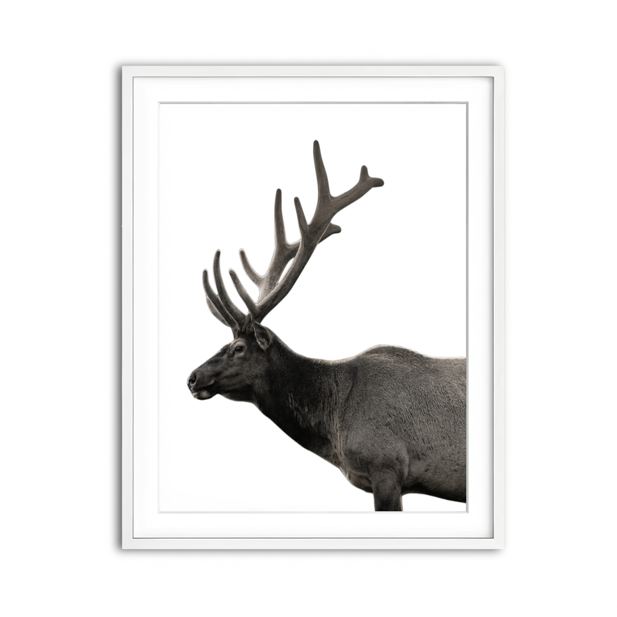 Framed Print 3x4 White