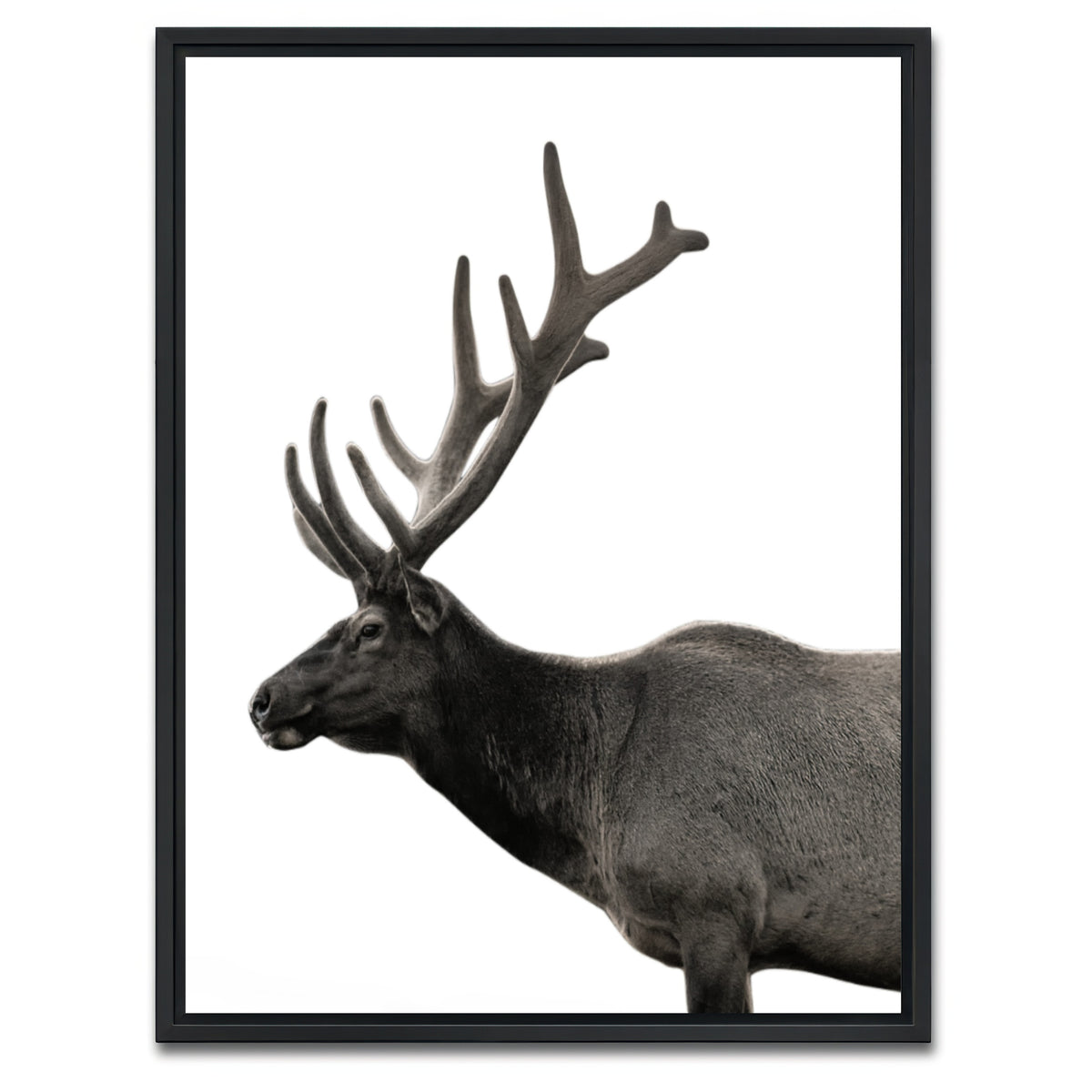 AUTO-MOCKUP WHITE | Deer Grayscale | 1 Piece | Black Framed Canvas | group=3x4