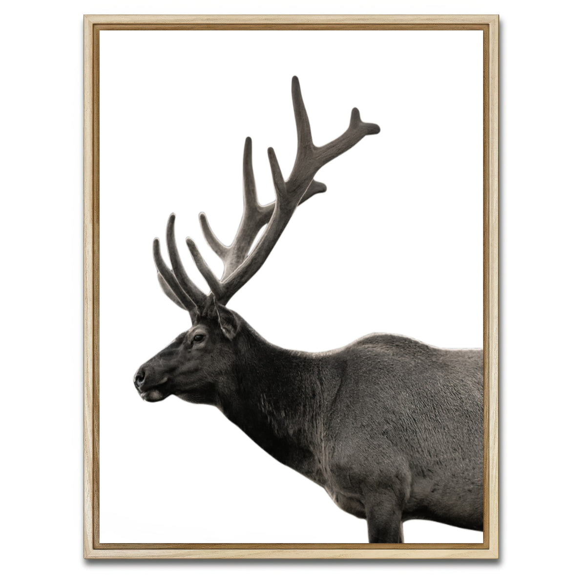AUTO-MOCKUP WHITE | Deer Grayscale | 1 Piece | Natural Framed Canvas | group=3x4