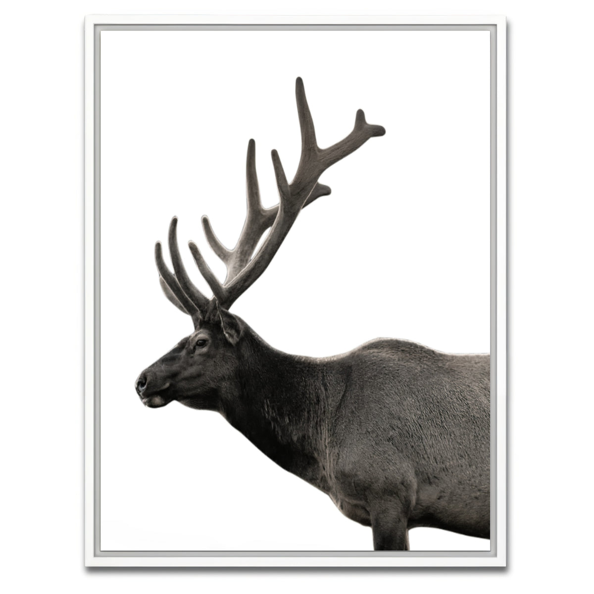 AUTO-MOCKUP WHITE | Deer Grayscale | 1 Piece | White Framed Canvas | group=3x4
