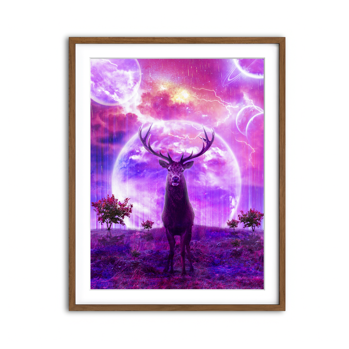 Framed Print 3x4 Walnut