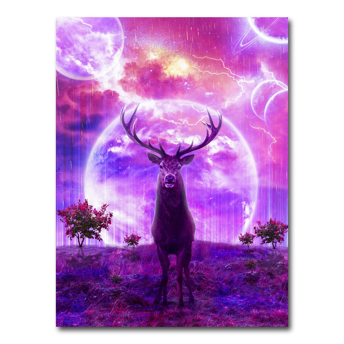 AUTO-MOCKUP WHITE | Deer Space | 1 Piece | Gallery Wrap Canvas | group=3x4