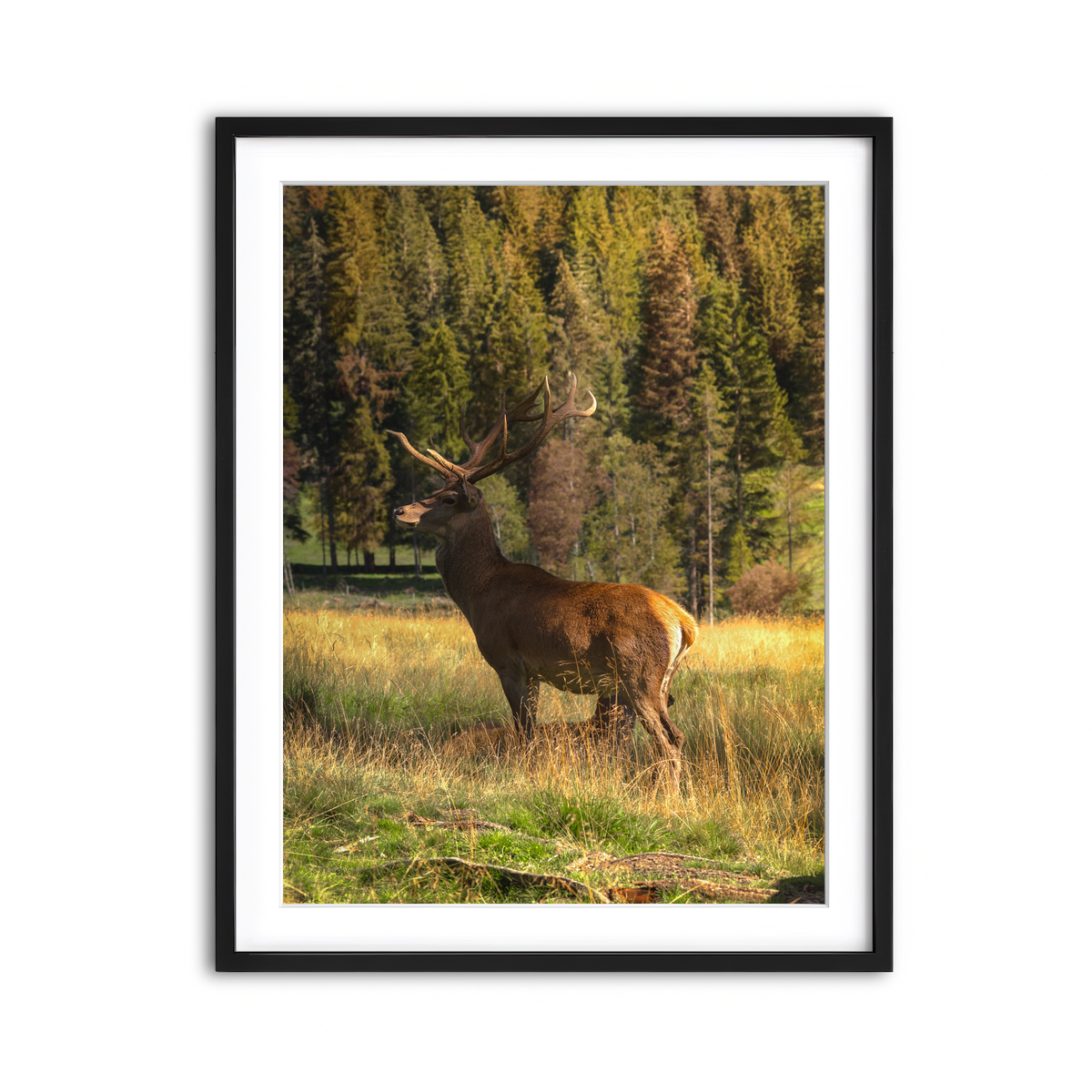 Framed Print 3x4 Black