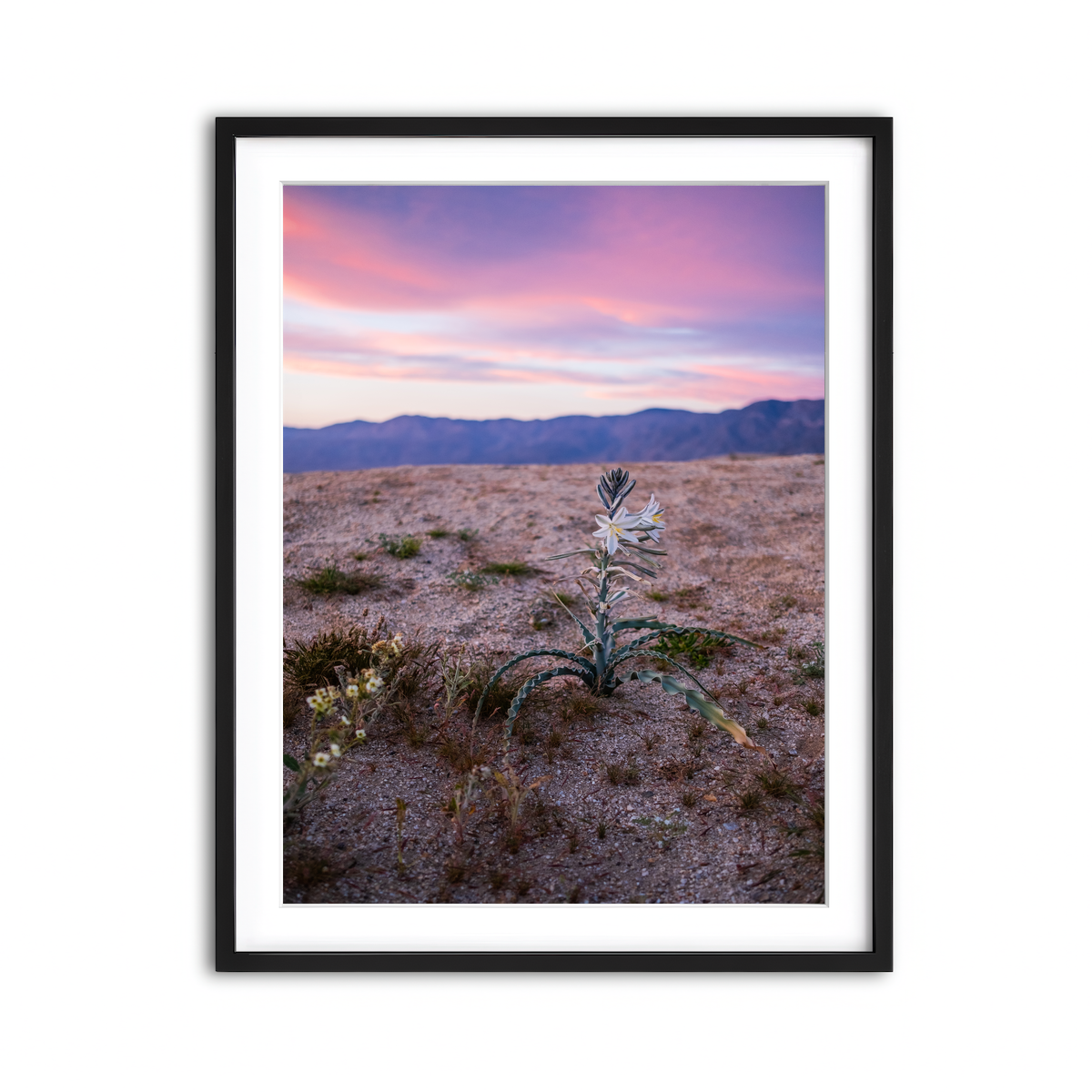 Framed Print 3x4 Black