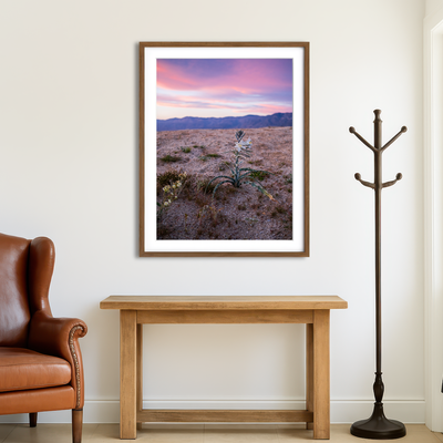 AUTO-MOCKUP ROOM | Desert Wild Flowers Wall Art
