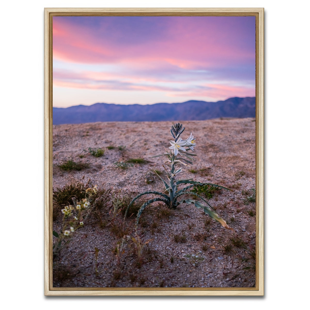 AUTO-MOCKUP WHITE | Desert Wild Flowers | 1 Piece | Natural Framed Canvas | group=3x4