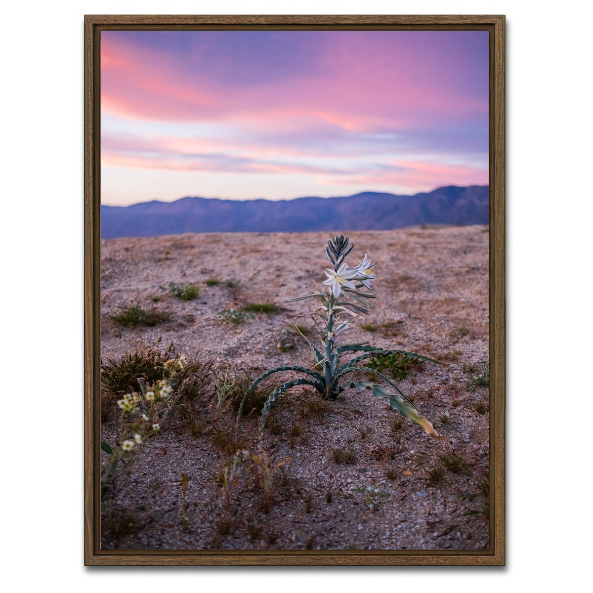 AUTO-MOCKUP WHITE | Desert Wild Flowers | 1 Piece | Walnut Framed Canvas | group=3x4