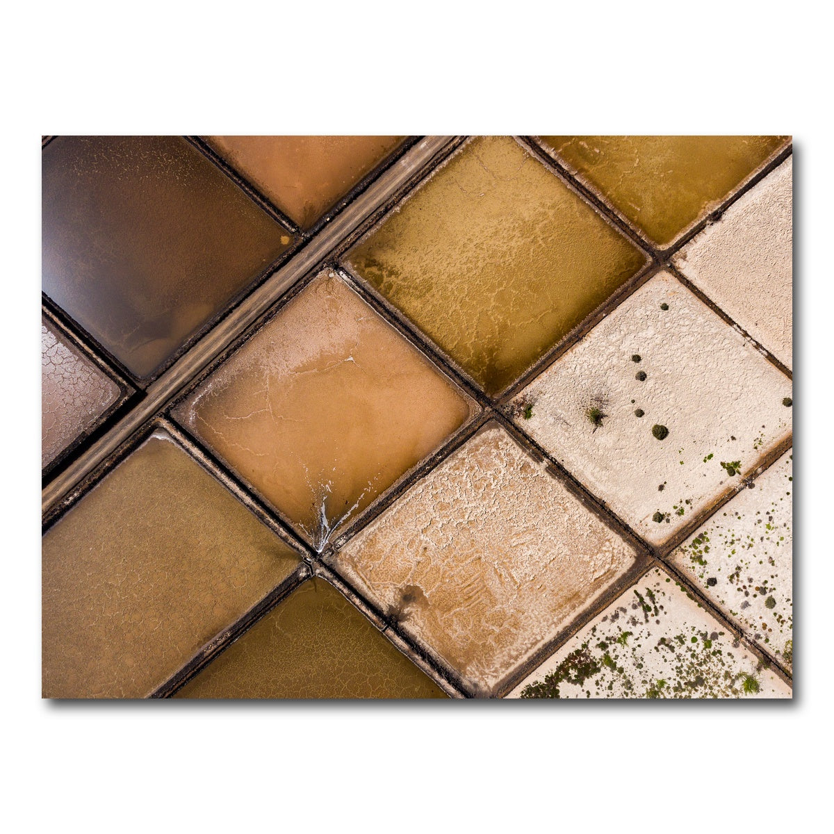 AUTO-MOCKUP WHITE | Desolate Fields | 1 Piece | Gallery Wrap Canvas | group=4x3