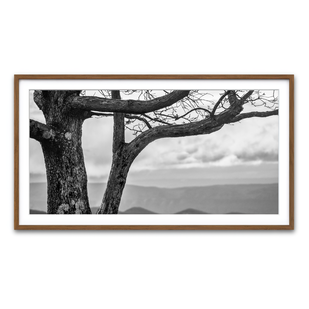 Framed Print 2x1 Walnut
