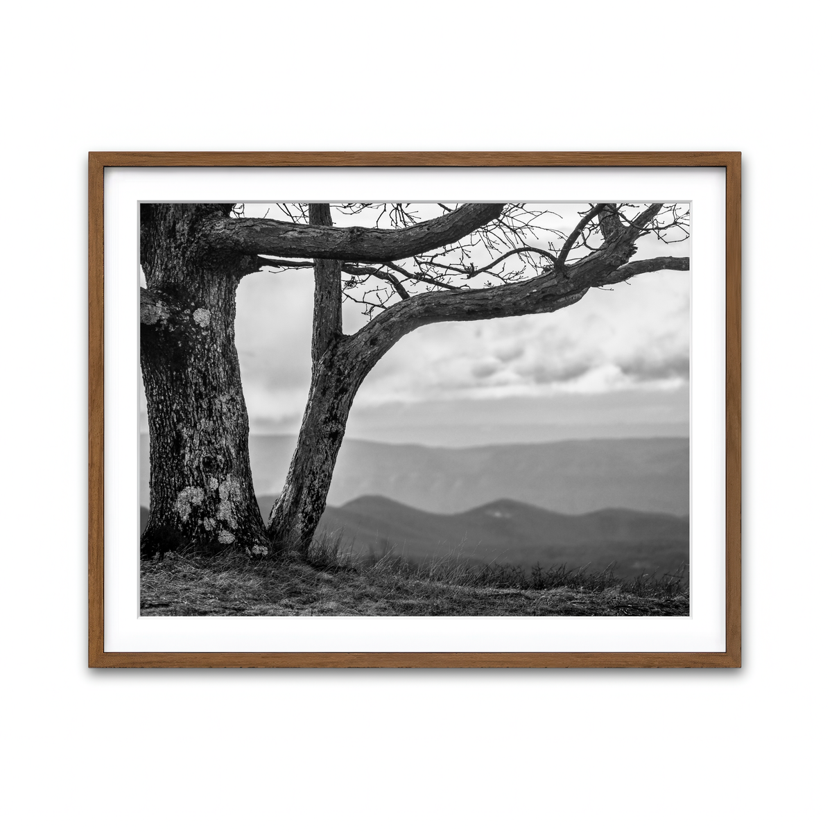Framed Print 4x3 Walnut