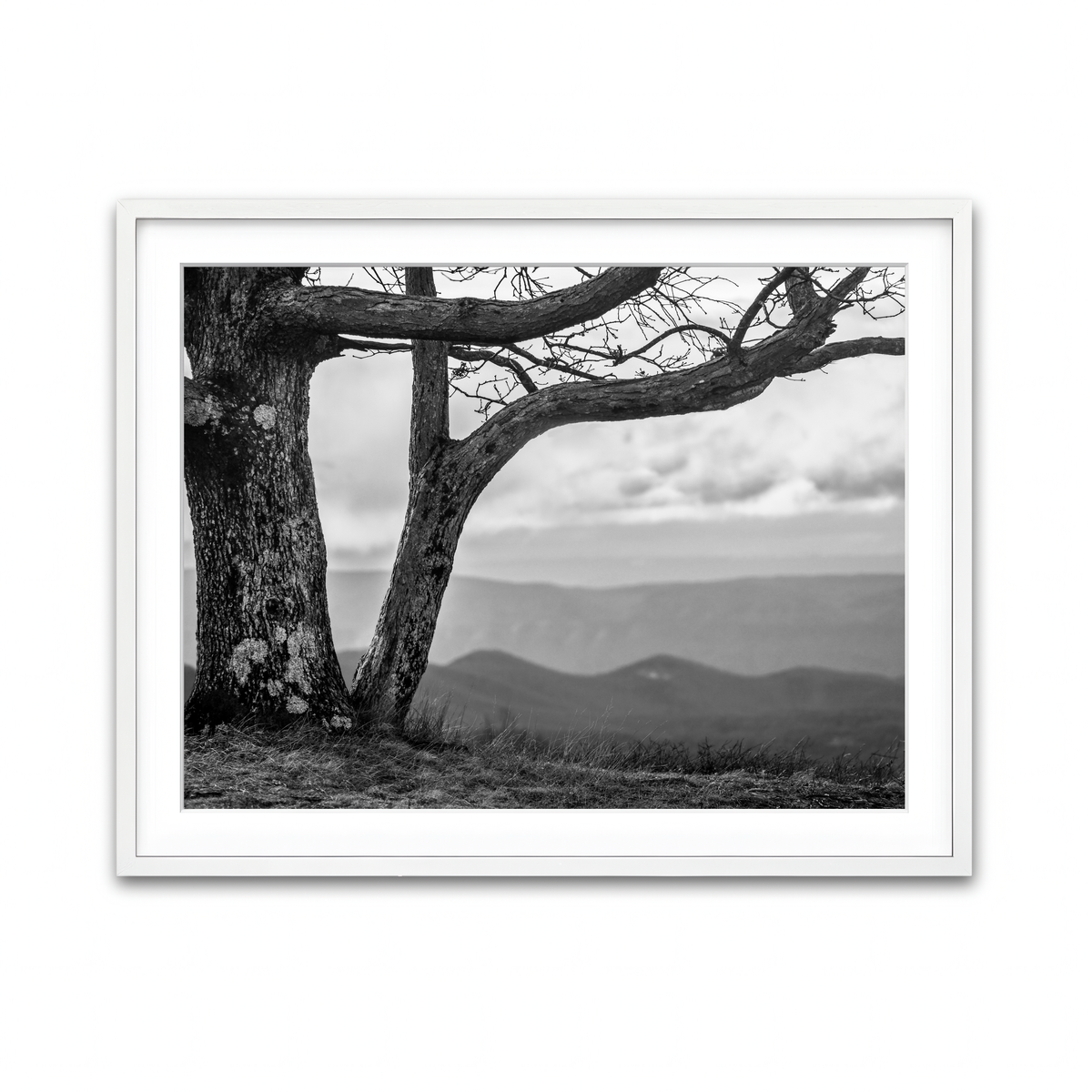 Framed Print 4x3 White
