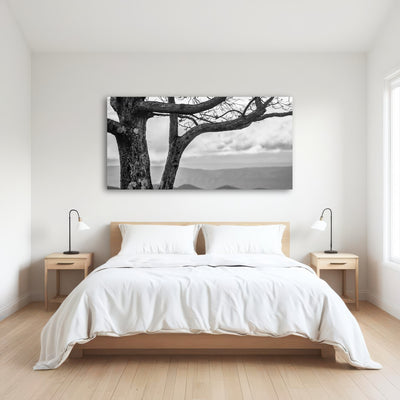 AUTO-MOCKUP ROOM | Desolate Limbs