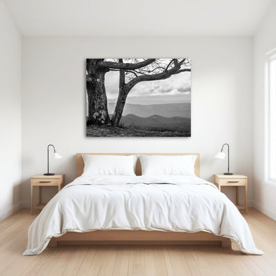 AUTO-MOCKUP ROOM | Desolate Limbs