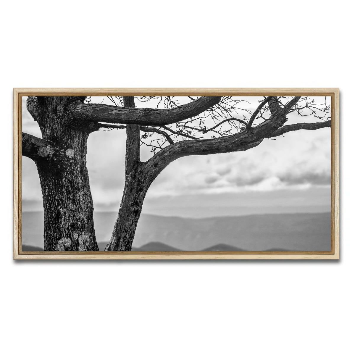 AUTO-MOCKUP WHITE | Desolate Limbs | 1 Piece | Natural Framed Canvas | group=2x1