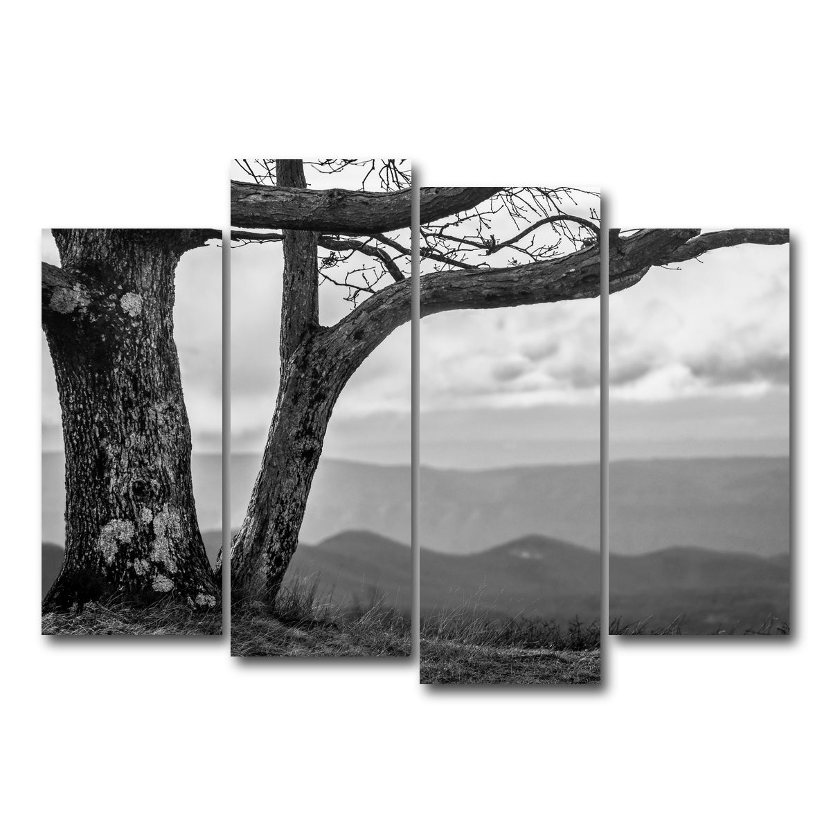 AUTO-MOCKUP WHITE | Desolate Limbs | 4 Piece | Gallery Wrap Canvas | group=4_normal