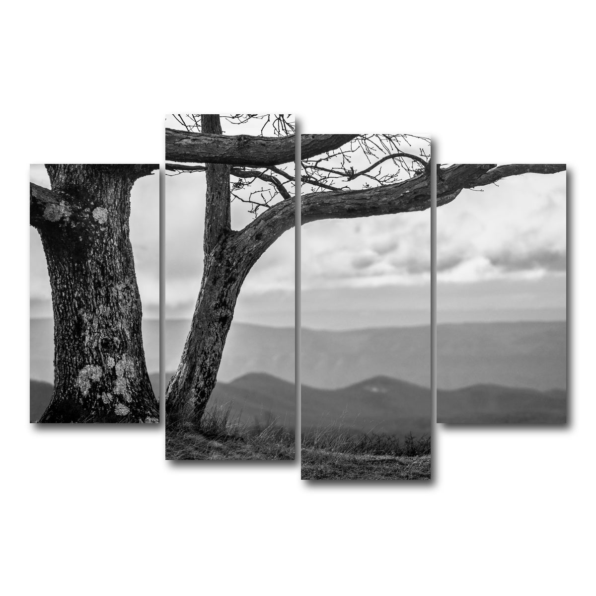AUTO-MOCKUP WHITE | Desolate Limbs | 4 Piece | Gallery Wrap Canvas | group=4_short