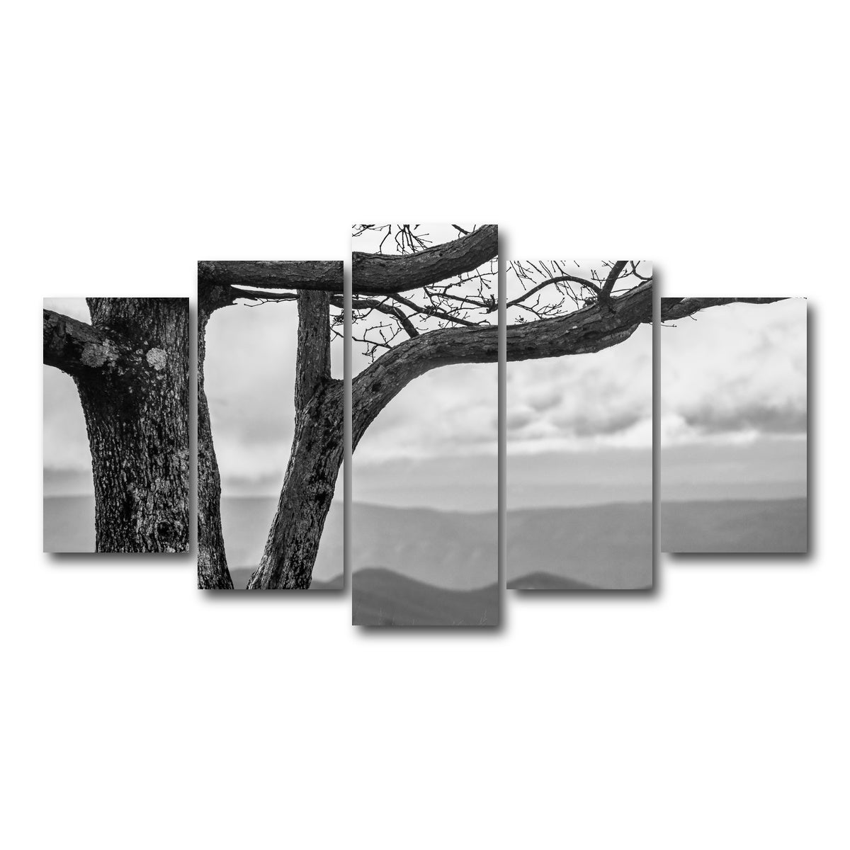 AUTO-MOCKUP WHITE | Desolate Limbs | 5 Piece | Gallery Wrap Canvas | group=5_normal
