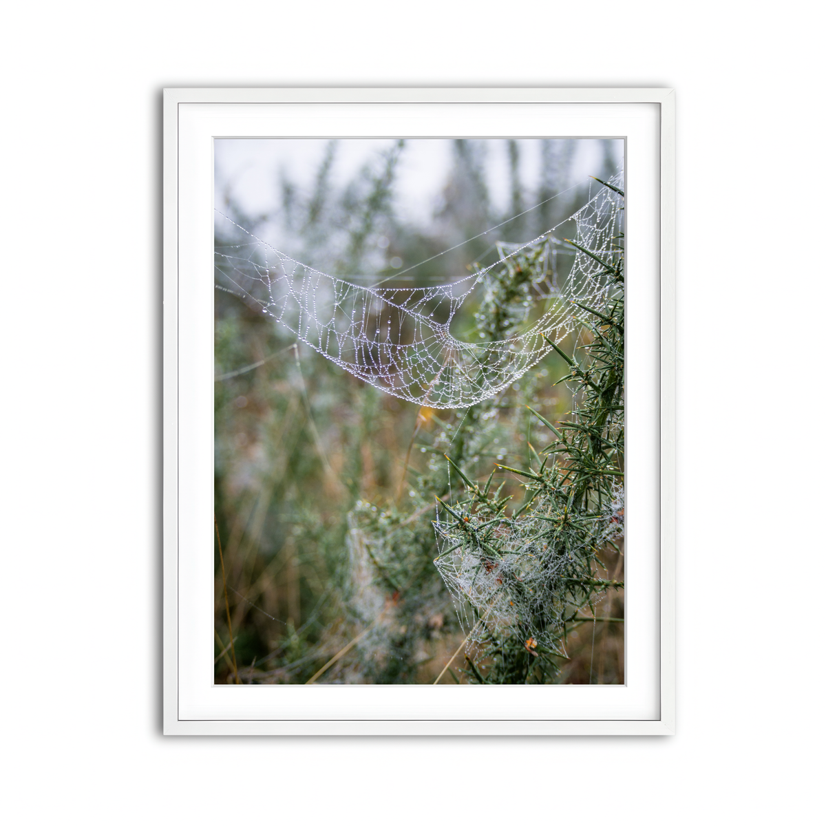 Framed Print 3x4 White