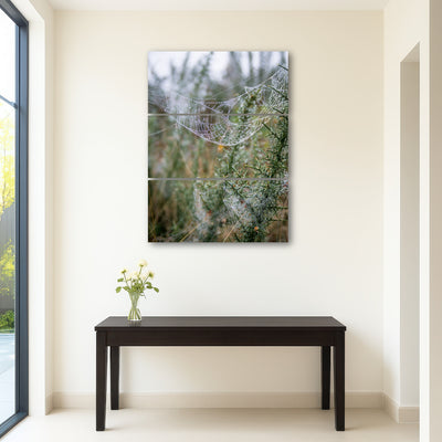 AUTO-MOCKUP ROOM | Dew Web