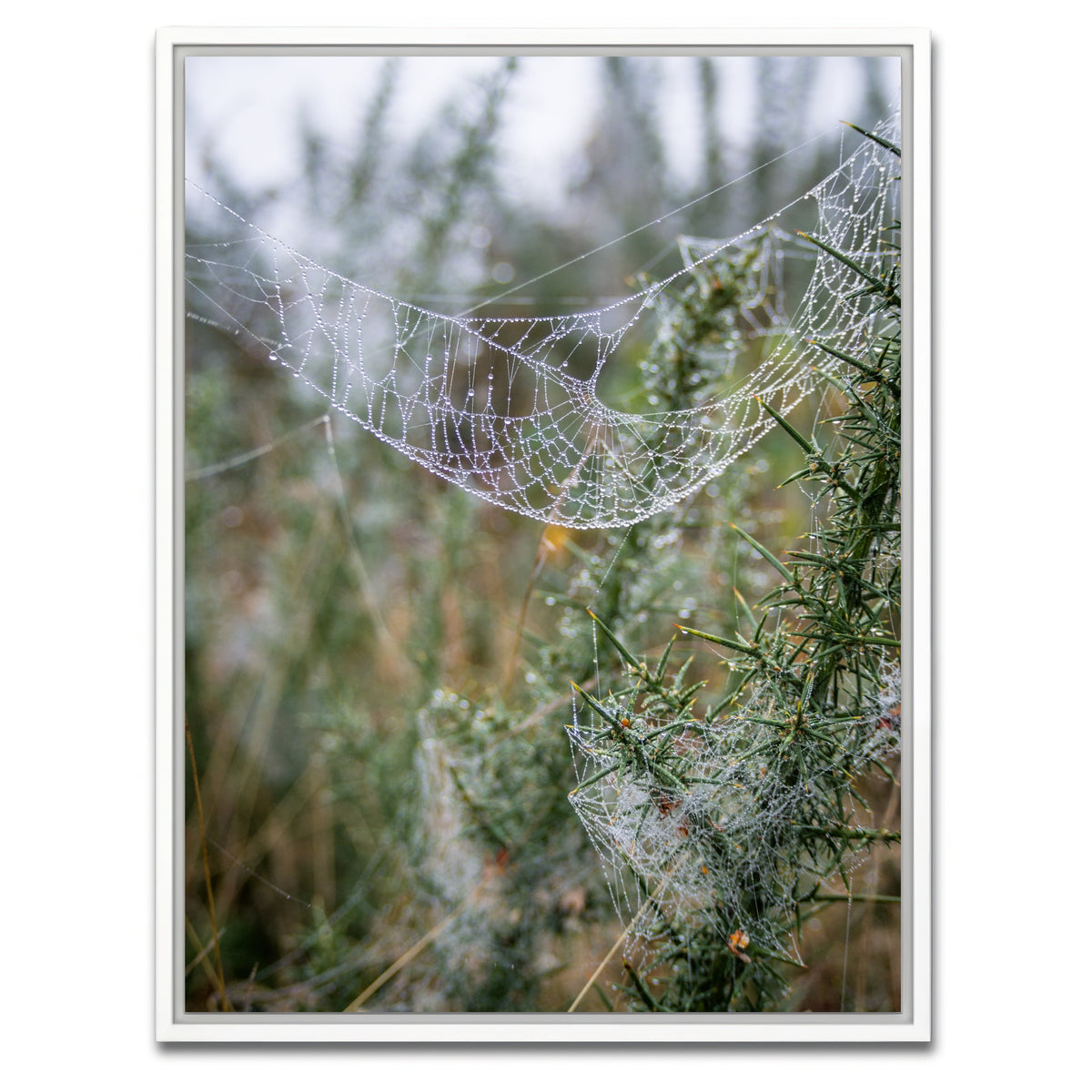 AUTO-MOCKUP WHITE | Dew Web | 1 Piece | White Framed Canvas | group=3x4