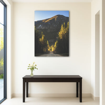 AUTO-MOCKUP ROOM | Dirt and Sun