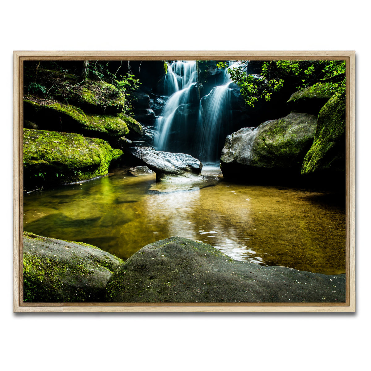 AUTO-MOCKUP WHITE | Dismals Canyon | 1 Piece | Natural Framed Canvas | group=4x3