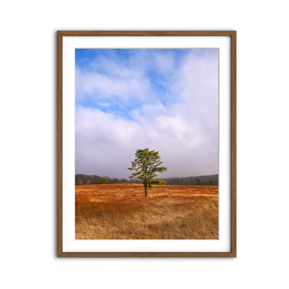 Framed Print 3x4 Walnut