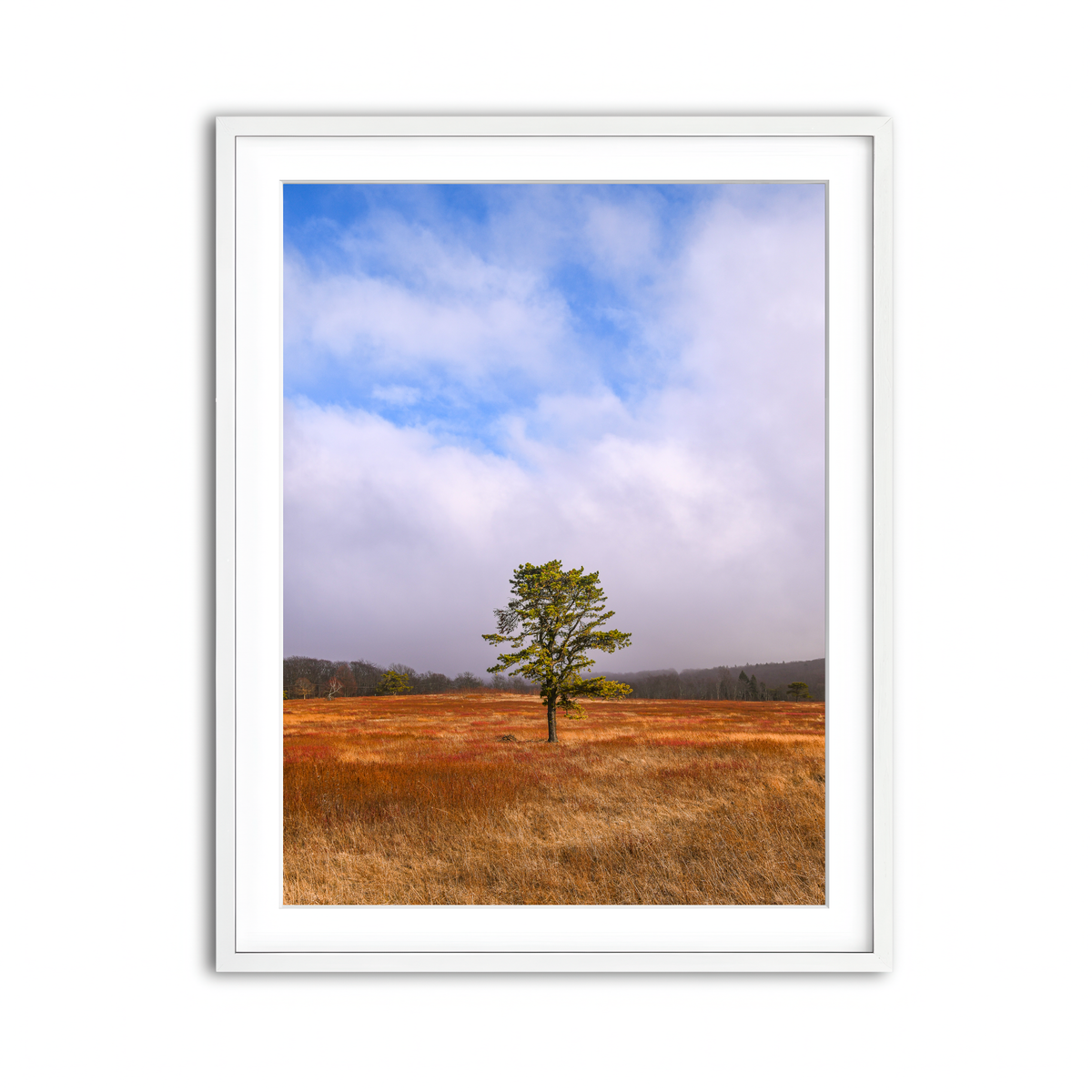 Framed Print 3x4 White