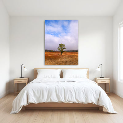 AUTO-MOCKUP ROOM | Distant Fog