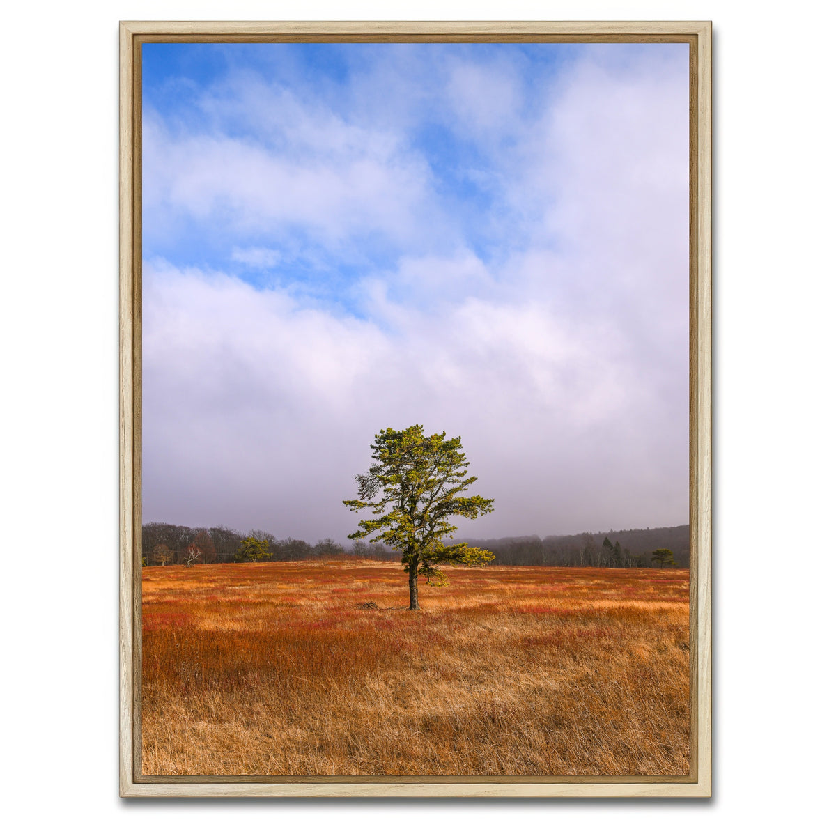 AUTO-MOCKUP WHITE | Distant Fog | 1 Piece | Natural Framed Canvas | group=3x4