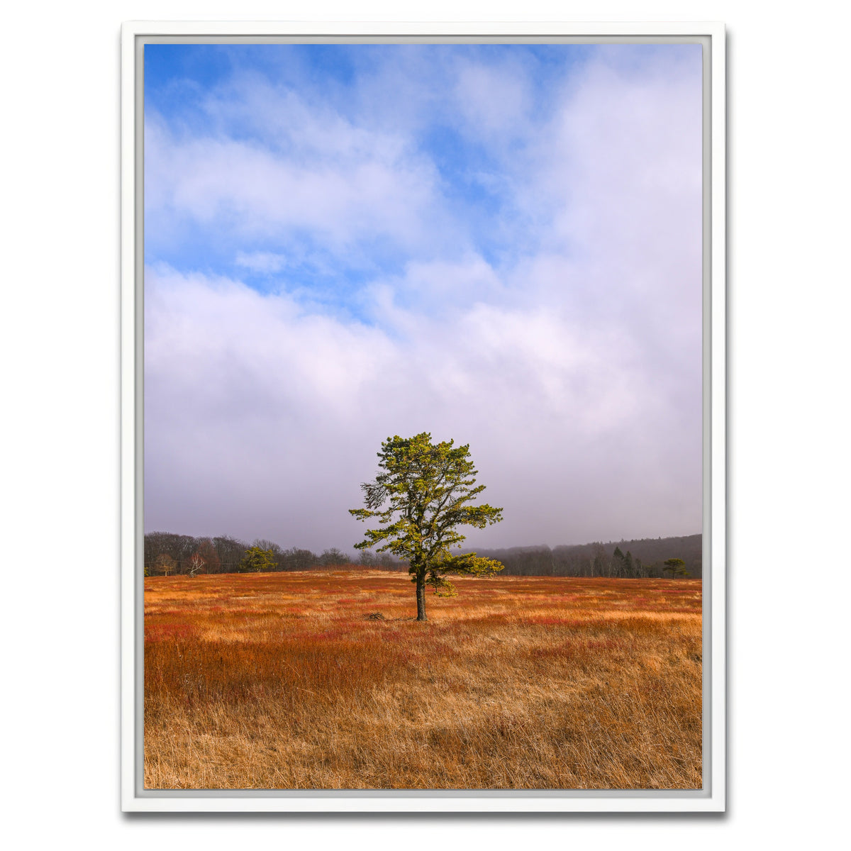AUTO-MOCKUP WHITE | Distant Fog | 1 Piece | White Framed Canvas | group=3x4