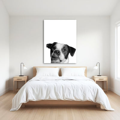 AUTO-MOCKUP ROOM | Dog
