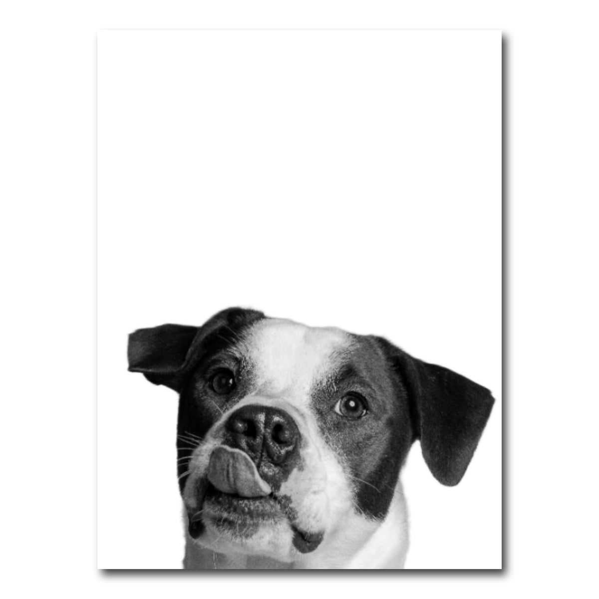 AUTO-MOCKUP WHITE | Dog | 1 Piece | Gallery Wrap Canvas | group=3x4