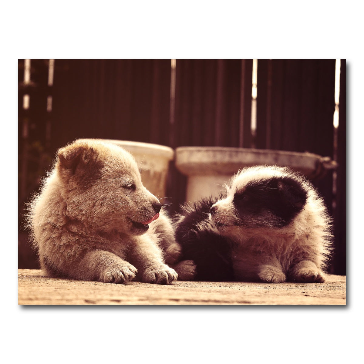 AUTO-MOCKUP WHITE | Dog's Best Friend | 1 Piece | Gallery Wrap Canvas | group=4x3