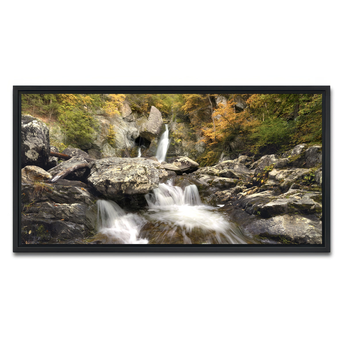 AUTO-MOCKUP WHITE | Down Stream | 1 Piece | Black Framed Canvas | group=2x1