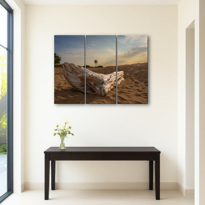 AUTO-MOCKUP ROOM | Driftwood Sunset