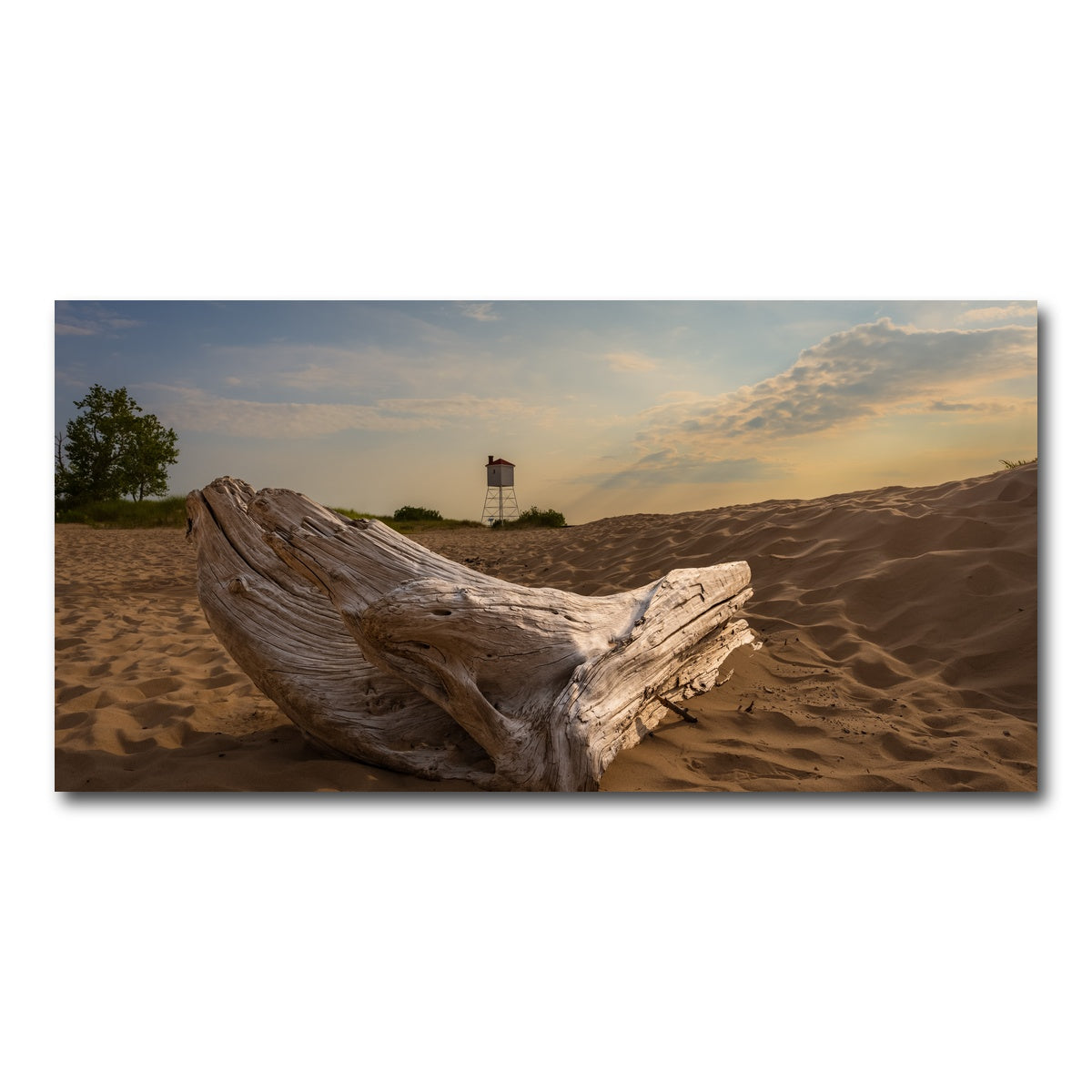 AUTO-MOCKUP WHITE | Driftwood Sunset | 1 Piece | Gallery Wrap Canvas | group=2x1