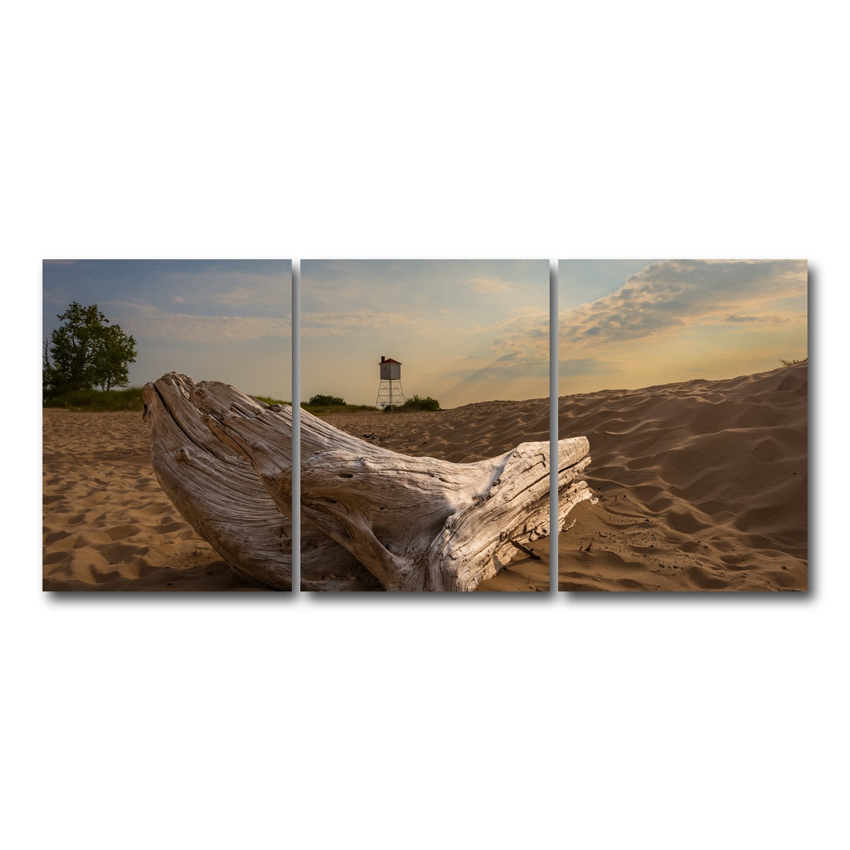 AUTO-MOCKUP WHITE | Driftwood Sunset | 3 Piece | Gallery Wrap Canvas | group=18x24