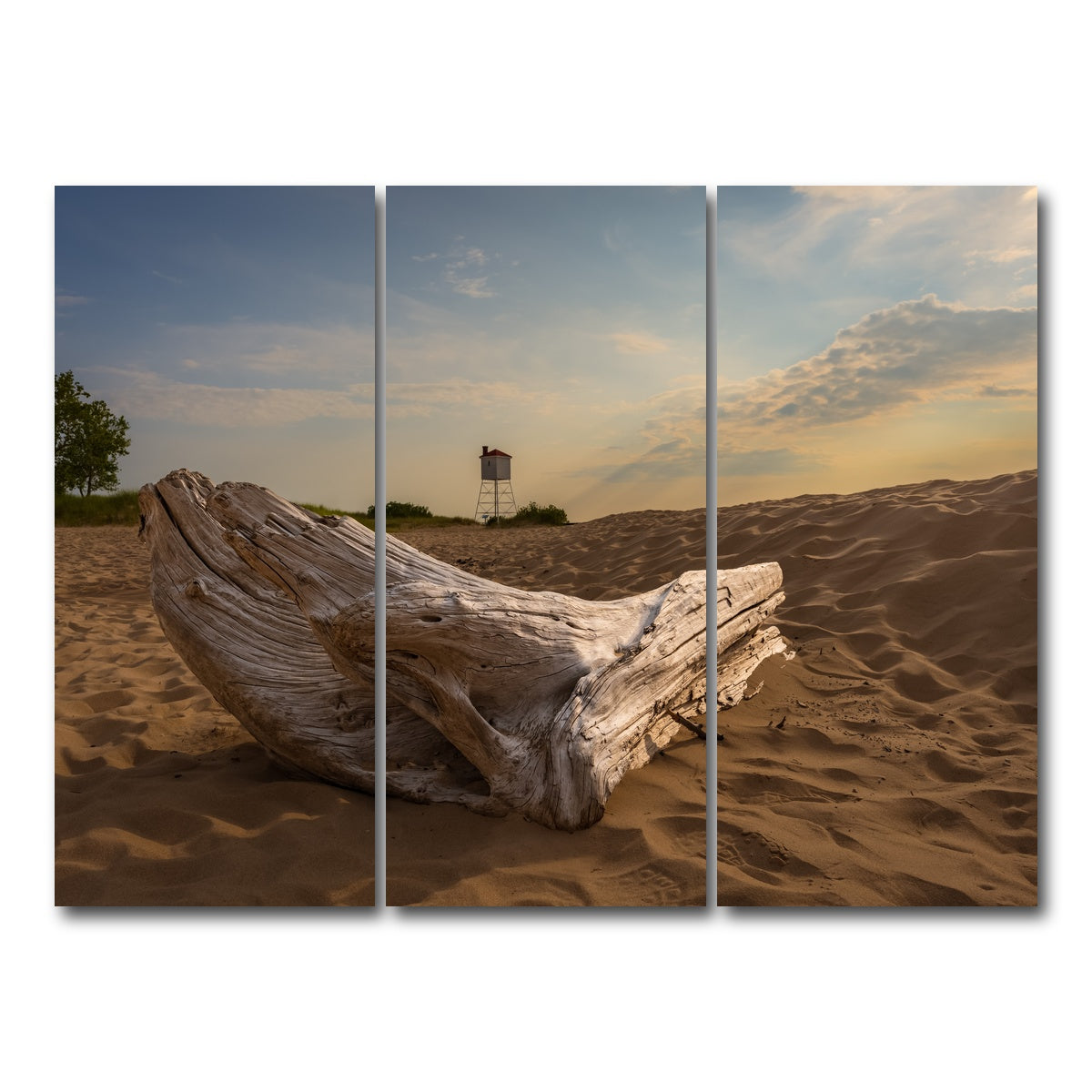 AUTO-MOCKUP WHITE | Driftwood Sunset | 3 Piece | Gallery Wrap Canvas | group=8x18