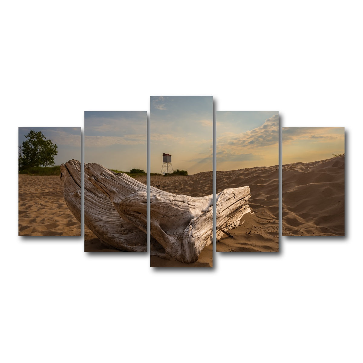AUTO-MOCKUP WHITE | Driftwood Sunset | 5 Piece | Gallery Wrap Canvas | group=5_normal