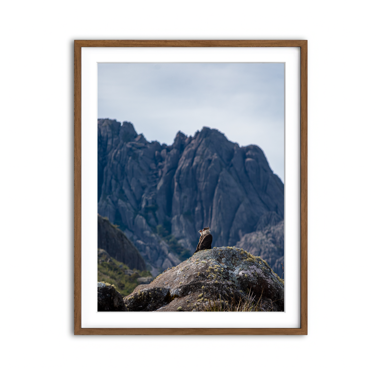 Framed Print 3x4 Walnut