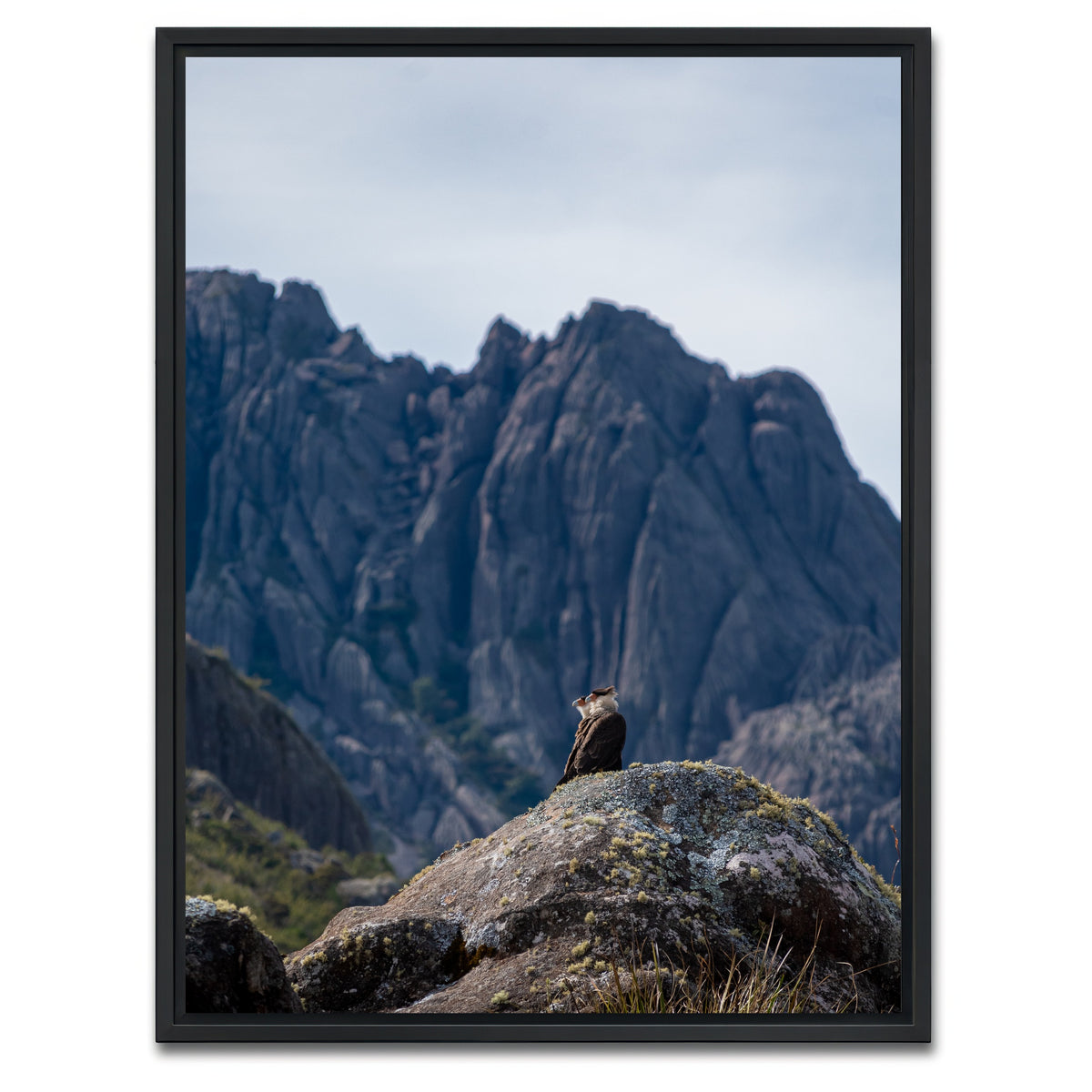 AUTO-MOCKUP WHITE | Eagles and Black Needles Peak | 1 Piece | Black Framed Canvas | group=3x4