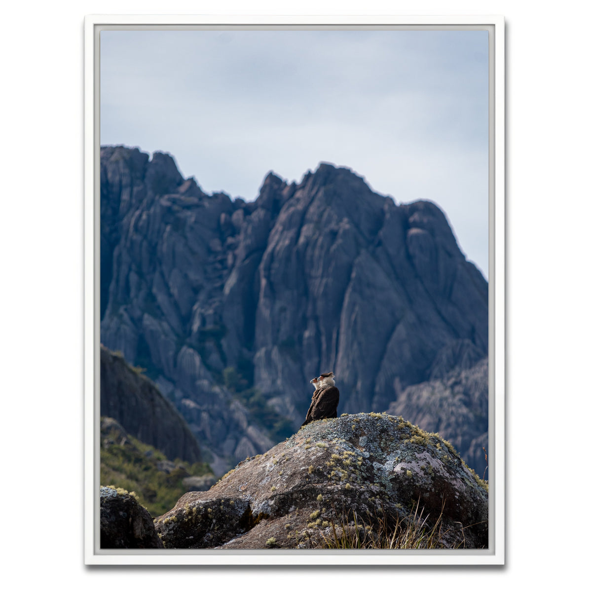 AUTO-MOCKUP WHITE | Eagles and Black Needles Peak | 1 Piece | White Framed Canvas | group=3x4